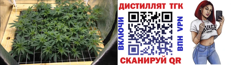 ТГК гашишное масло Свободный