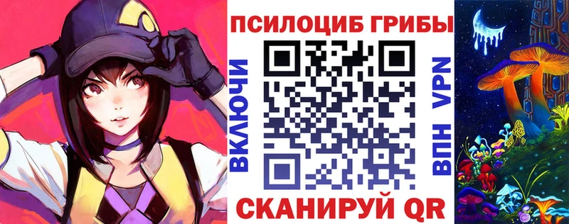 где можно купить Свободный Галлюциногенные грибы GOLDEN TEACHER